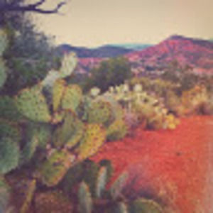 Meet your Posher, Kerry